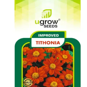 Tithonia Hybrid Flower Seeds